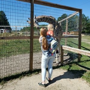 Meet your Posher, Aly